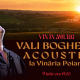 „Vin în Amurg”: Vali Boghean va susține un concert acustic la Vinăria Poiana. Biletele sunt deja disponibile online