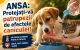 ANSA vine cu recomandări pentru protejarea animalelor în zilele caniculare