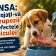 ANSA vine cu recomandări pentru protejarea animalelor în zilele caniculare