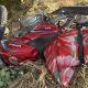 Motociclist decedat după ce s-a izbit cu vehiculul într-un copac la Etulia. Doi pasageri au fost răniți