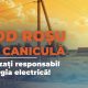 RED NORD, apel către consumatori în contextul Codului Roșu de caniculă: “Utilizați responsabil energia electrică”