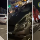 Accident în Călărași: Un motociclist a fost lovit de un Mercedes după ce a ignorat indicatorul „Cedează trecerea