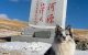 Caz șocant în China: Un câine celebru, urmărit de 1,5 milioane de oameni online, a fost furat și vândut pentru carne