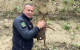 Polițiștii de frontieră din România și Republica Moldova au salvat un pui de căprioară din râul Prut