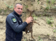 Polițiștii de frontieră din România și Republica Moldova au salvat un pui de căprioară din râul Prut