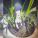 VIDEO // Doi bărbați reținuți pentru comercializarea drogurilor sintetice în sectorul Botanica, al capitalei