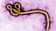 OMS avertizează asupra extinderii epidemiei de Ebola cu tulpina Bundibugyo în estul Republicii Democratice Congo