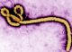 OMS avertizează asupra extinderii epidemiei de Ebola cu tulpina Bundibugyo în estul Republicii Democratice Congo
