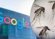 Google vrea să elibereze 32 de milioane de țânțari în SUA. Proiectul care stârnește controverse și dezbateri aprinse