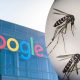 Google vrea să elibereze 32 de milioane de țânțari în SUA. Proiectul care stârnește controverse și dezbateri aprinse