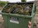 Containere speciale pentru deșeurile de canabis, instalate în sudul Spaniei. Autoritățile încearcă să oprească gropile ilegale de gunoi