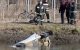Un bărbat din Republica Moldova a fost găsit mort într-un automobil furat, răsturnat într-un canal lângă Milano