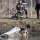 Un bărbat din Republica Moldova a fost găsit mort într-un automobil furat, răsturnat într-un canal lângă Milano