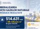 Piața liberă a gazelor naturale pentru consumatorii mari a înregistrat tranzacții de 48 milioane metri cubi în două luni