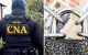 Sinteza CNA: 13 dosare noi și sechestre de peste 6 milioane de lei