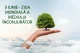 Astăzi este marcată Ziua Mondială a Mediului