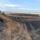 VIDEO // Șapte hectare de grâu au ars la Tudora, raionul Ștefan Vodă