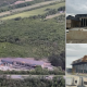 Percheziții într-un dosar privind construcții ilegale în fondul forestier de la marginea Chișinăului