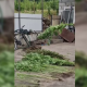 VIDEO // Bărbat din Soroca, cercetat după ce ar fi cultivat ilegal plante de cânepă