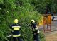 Furtuna a făcut ravagii în mai multe raioane. IGSU a intervenit în 20 de cazuri