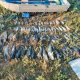 Prejudiciu de 372 500 de lei într-un caz de braconaj piscicol pe Nistru