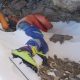 Misterul „Cizmelor verzi” de pe Everest a fost rezolvat după 30 de ani: Cine era alpinistul al cărui trup a rămas pe munte din 1996