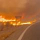 12 morți în urma unui incendiu de vegetație din Andaluzia