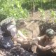Geniștii Armatei Naționale au neutralizat 21 de obiecte explozive în iunie