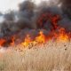 COD GALBEN // A patra alertă emisă astăzi: Pericol de incendii în aproape toată țara până la sfârșitul lunii