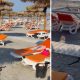 Panică pe o plajă din România: Un șarpe de 1,5 metri a apărut printre șezlongurile turiștilor