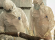 Epidemia de Ebola din Congo se răspândește într-un ritm fără precedent: Peste 600 de decese confirmate