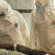 Epidemia de Ebola din Congo se răspândește într-un ritm fără precedent: Peste 600 de decese confirmate