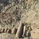Peste 500 de cartușe din perioada celui de-Al Doilea Război Mondial, descoperite la Anenii Noi. Geniștii le-au distrus în siguranță