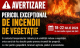 IGSU vine cu recomandări în contextul pericolului excepțional de incendii de vegetație