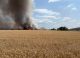 Incendiu de proporții la Purcari: Aproape 38 de hectare de grâu, distruse de flăcări