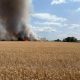 Incendiu de proporții la Purcari: Aproape 38 de hectare de grâu, distruse de flăcări