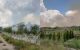 Incendiu de vegetație lângă un cimitir din Căușeni. Două echipaje de pompieri au intervenit la fața locului