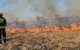 Pompierii au intervenit pentru stingerea a 16 incendii de vegetație uscată în ultimele 24 de ore
