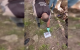 Un tânăr prins în flagrant cu droguri la Chișinău, riscă până la 15 ani de închisoare