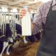Fermierii pot depune cereri pentru plăți directe în sectorul lactatelor până pe 14 august 2026