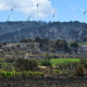 Incendiile de vegetație fac ravagii în sudul Franței: Mii de persoane evacuate, sute de pompieri mobilizați și mii de hectare mistuite