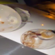 VIDEO // Droguri de peste un milion de lei confiscate în urma acțiunilor Poliției